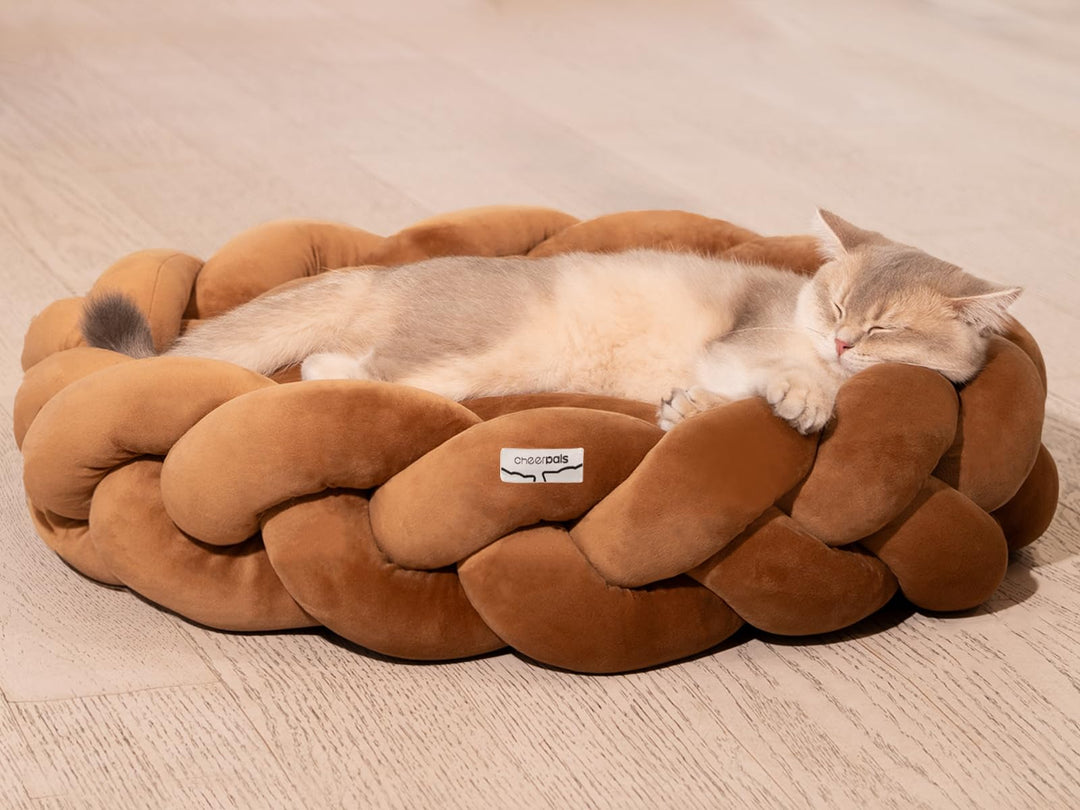 CheerPals Grosses Katzenbett 60cm, Waschbar Geflochtenes Kuschelhöhle, Hundebett mit Hochelastischer