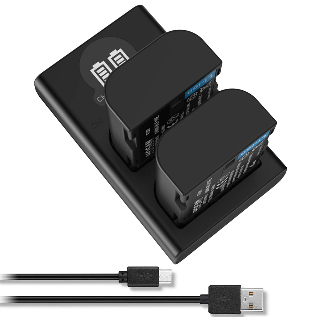 HOSAN DMW-BLF19 DMW-BLF19E Akkus für Lumix DMC-GH3 DMC-GH3A DMC-GH3H DMC-GH4 DMC-GH4H DC-GH5 DC-GH5S