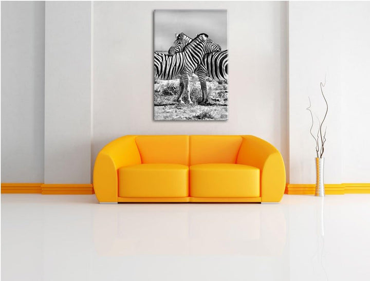 Pixxprint Schmusende Zebras als Leinwandbild/Grösse: 100x70 cm/Wandbild/Kunstdruck/fertig bespannt,