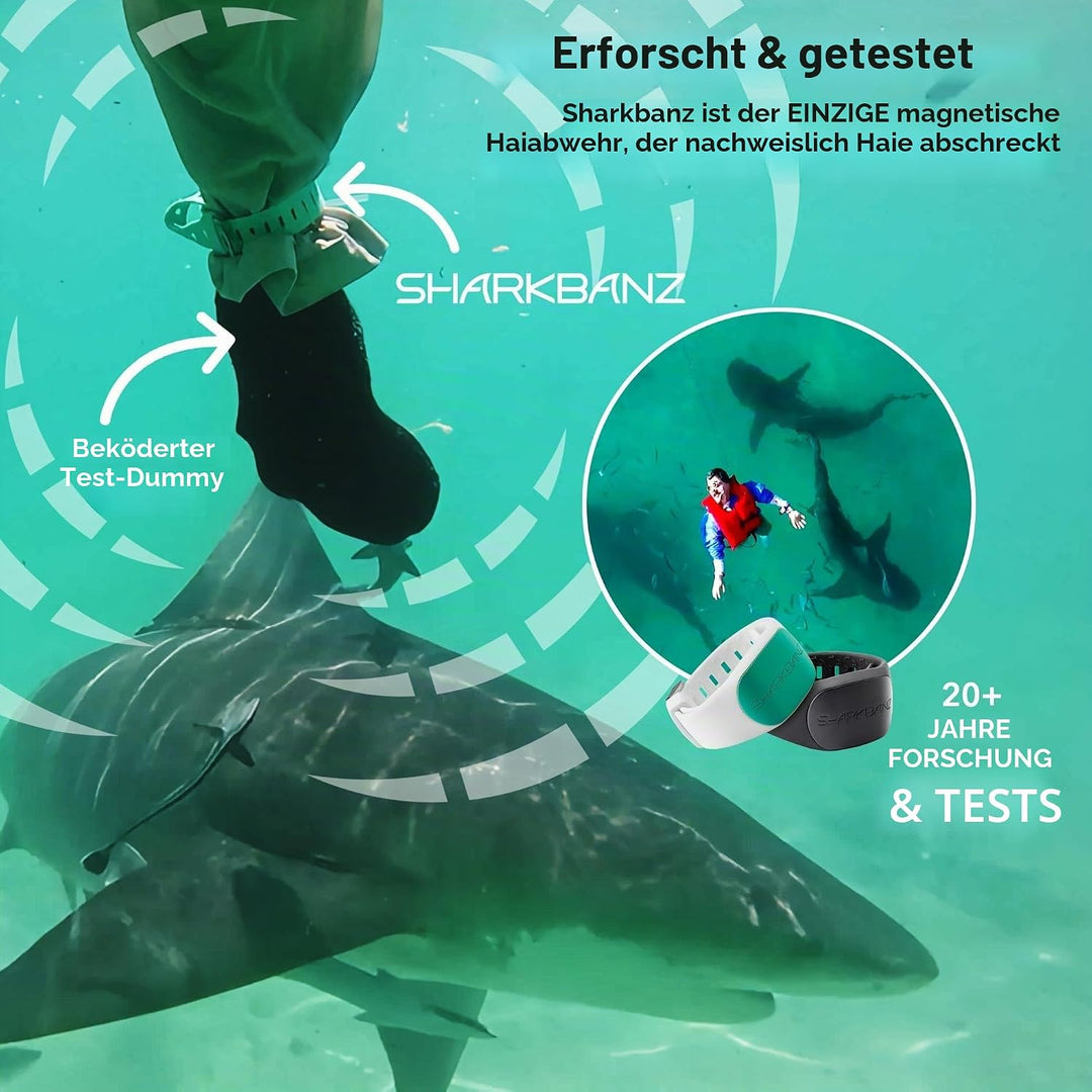 Sharkbanz 2 Blaugrau/Azurblau, Blaugrau/Azurblau