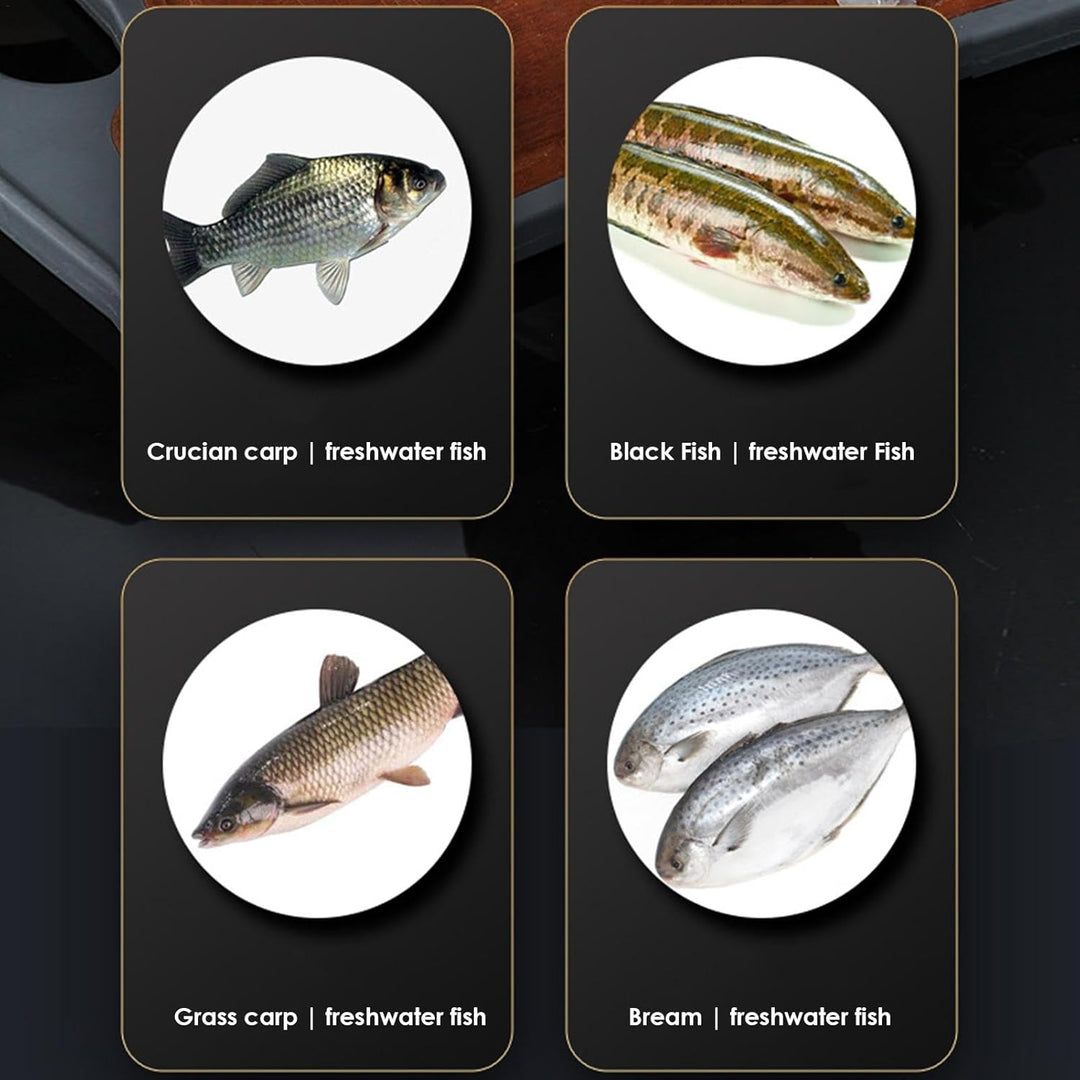 Generisch Werkzeug zum Entfernen von Fischschuppen, Werkzeug zum Entkalken von Fischen | Fischschabe