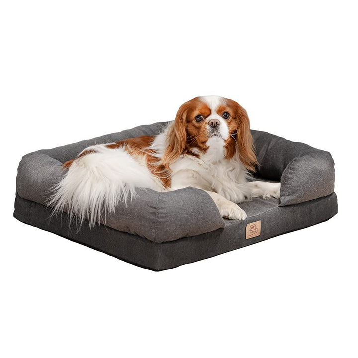 Orthopädisches Bett für Hunde MEMOR-ONE M Memory Foam, 64 x 52 x 16.5 cm, Grau Grau L 64 x B 52 x H
