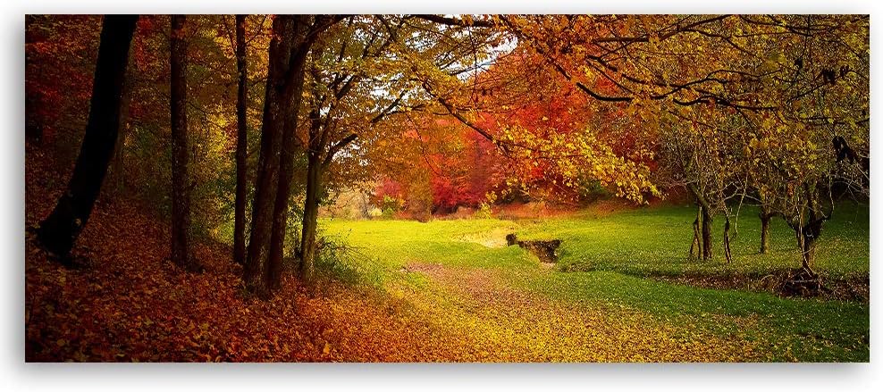 Wandbild Herbst Druckbild Leinwandbild Natur Orange 120x40 cm Leinwandbild 120x40 cm Orange_a, Leinw