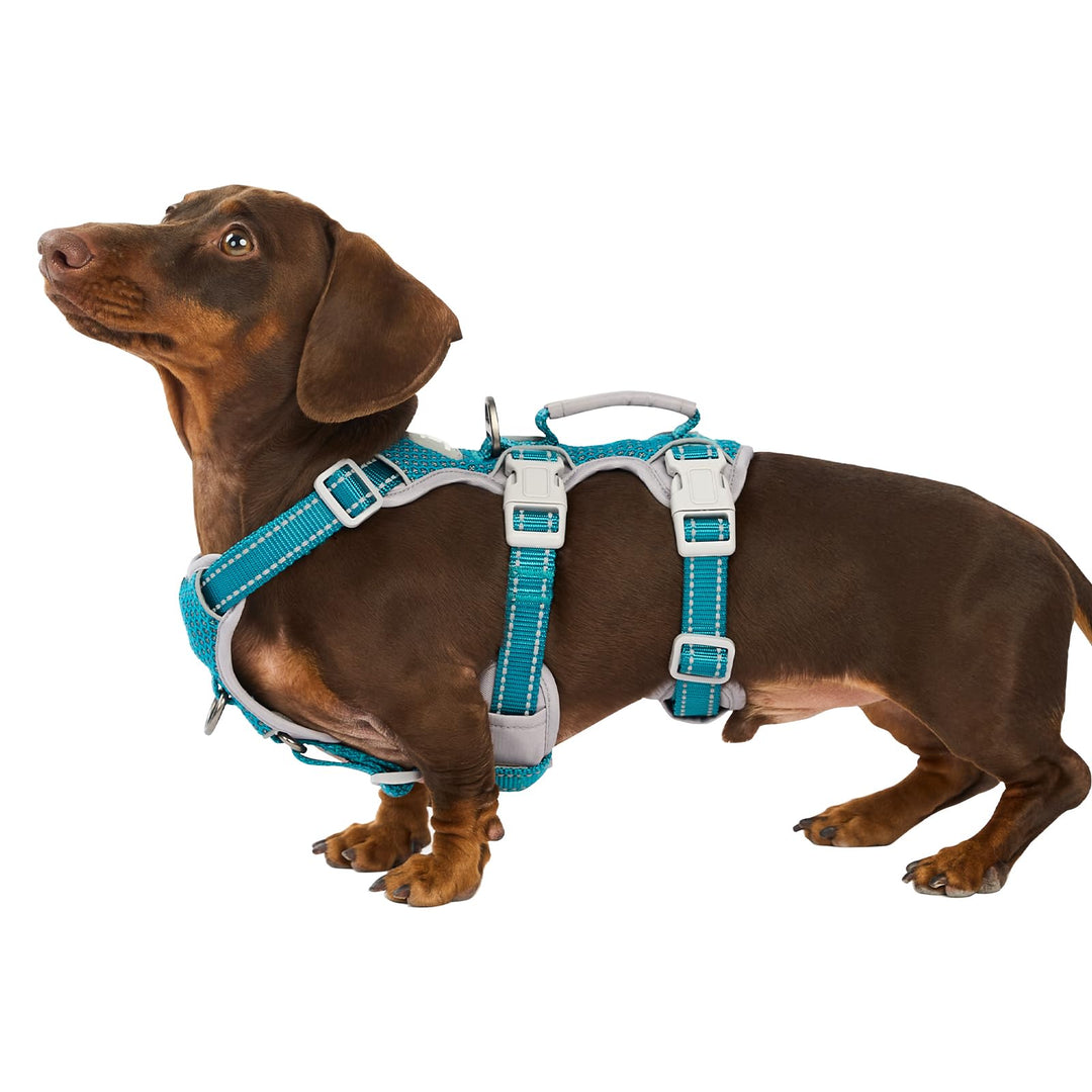 Huntboo Hunde Sicherheitsgeschirr,Hundegeschirr Ausbruchsicher, Hundegeschirr für Grosse Hunde No Pu