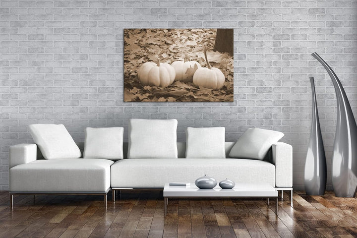 deyoli Herbstliche Kürbise Effekt: Sepia Format: 80x60 als Leinwandbild, Motiv fertig gerahmt auf Ec