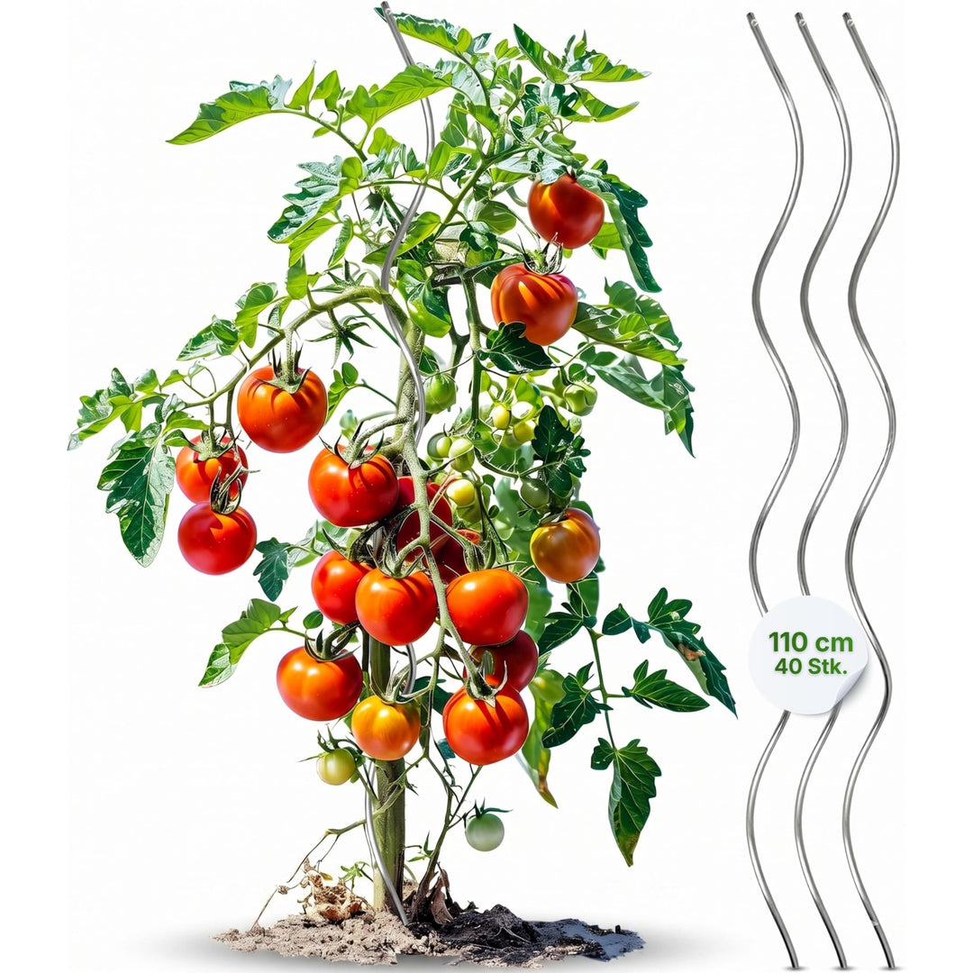 Gartenwelt Riegelsberger Tomatenspiralen Höhe 110 cm aus Stahl Ø 5,6 mm Tomatenspiralstäbe Ranke Pfl
