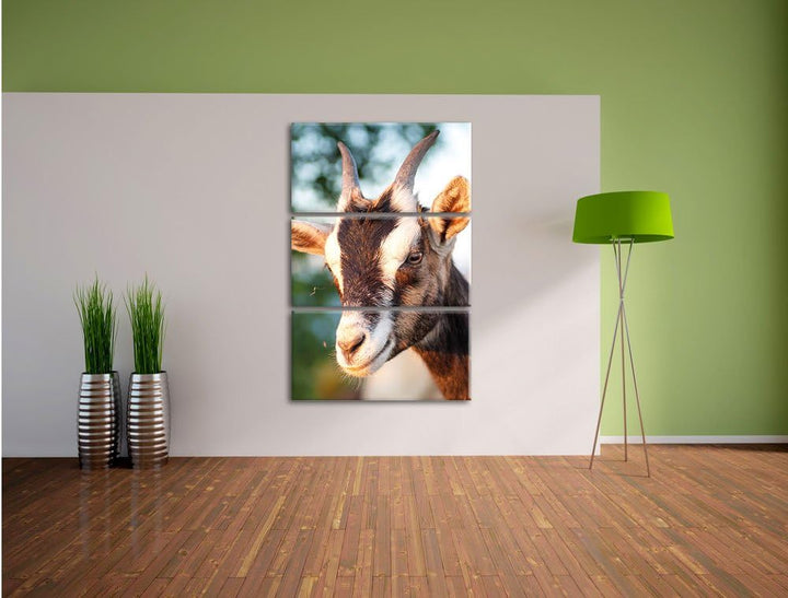 Pixxprint Niedliche Ziege als Leinwandbild/Grösse: 3 Teilig (120x80) / Wandbild/Kunstdruck/fertig be