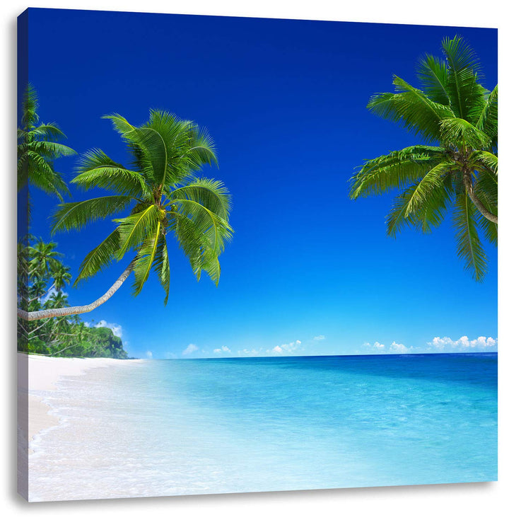 Palmen über dem Meer, Format: 70x70 auf Leinwand, XXL riesige Bilder fertig gerahmt mit Keilrahmen,