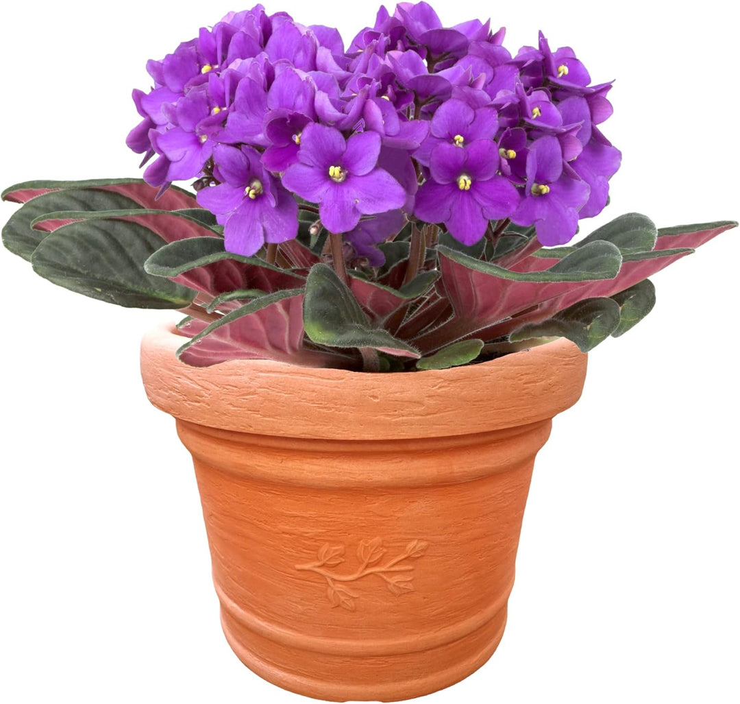 Terrastone Kunststoff Pflanzkübel - 60x56x45cm Blumenkübel wetterfest - Übertopf Pflanzgefäss mit De