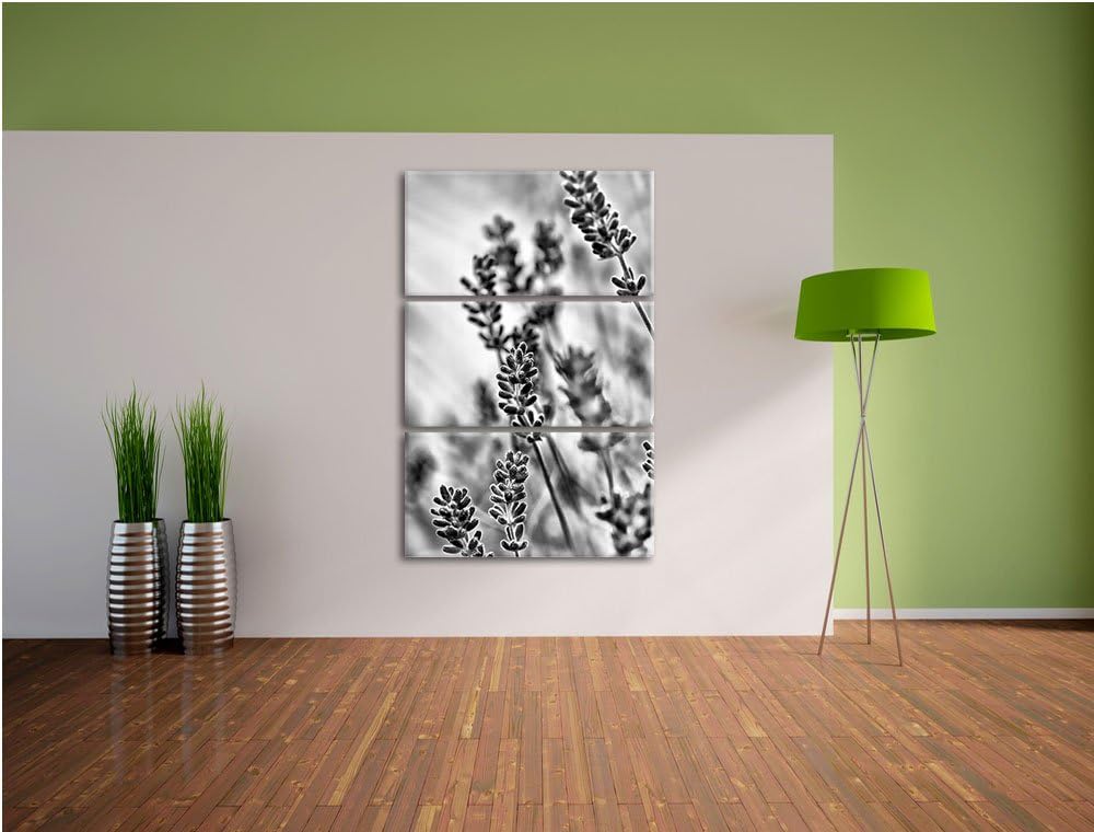 Pixxprint Lavendel als Leinwandbild/Grösse: 3 Teilig (120x80) cm/Wandbild/Kunstdruck/fertig bespannt