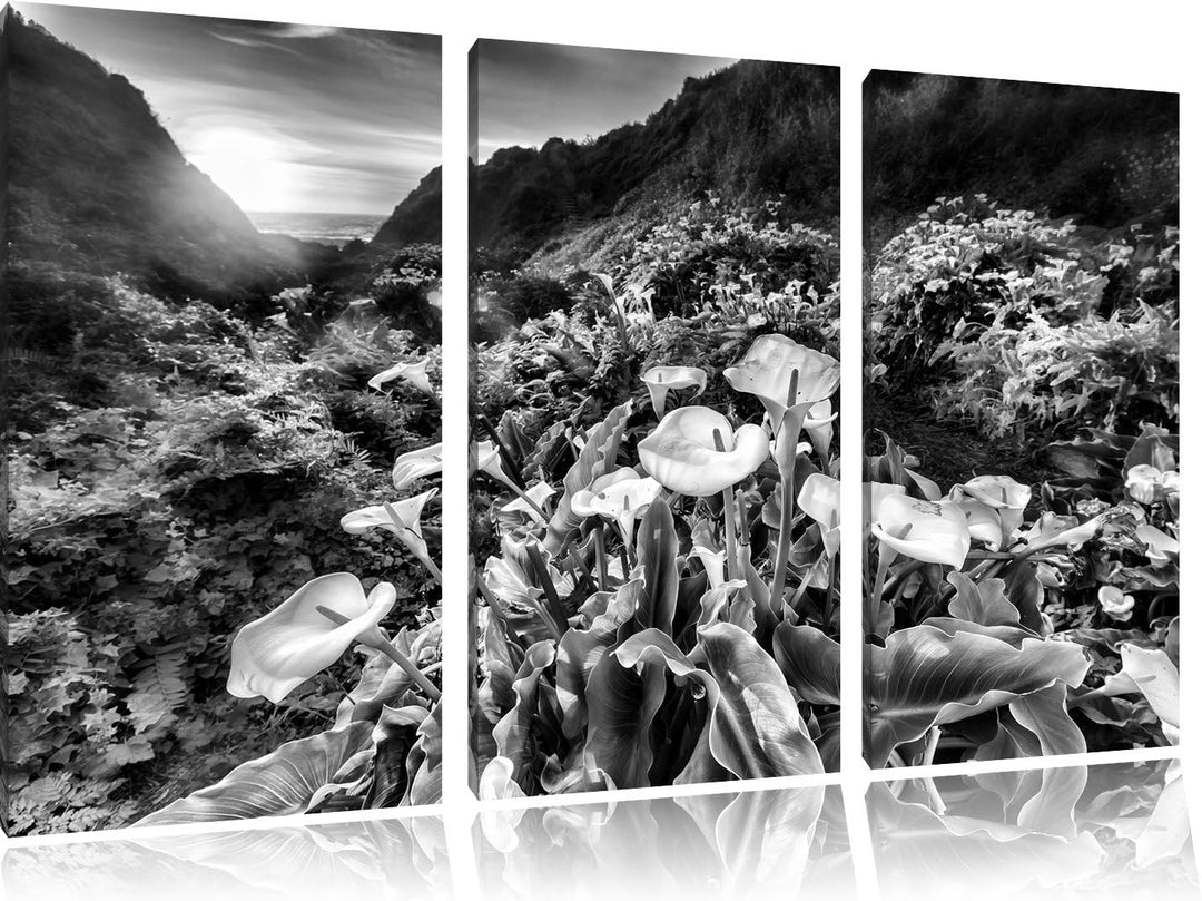 Pixxprint Blumenwiese in den Bergen als Leinwandbild/Grösse: 3 Teilig (120x80) / Wandbild/Kunstdruck