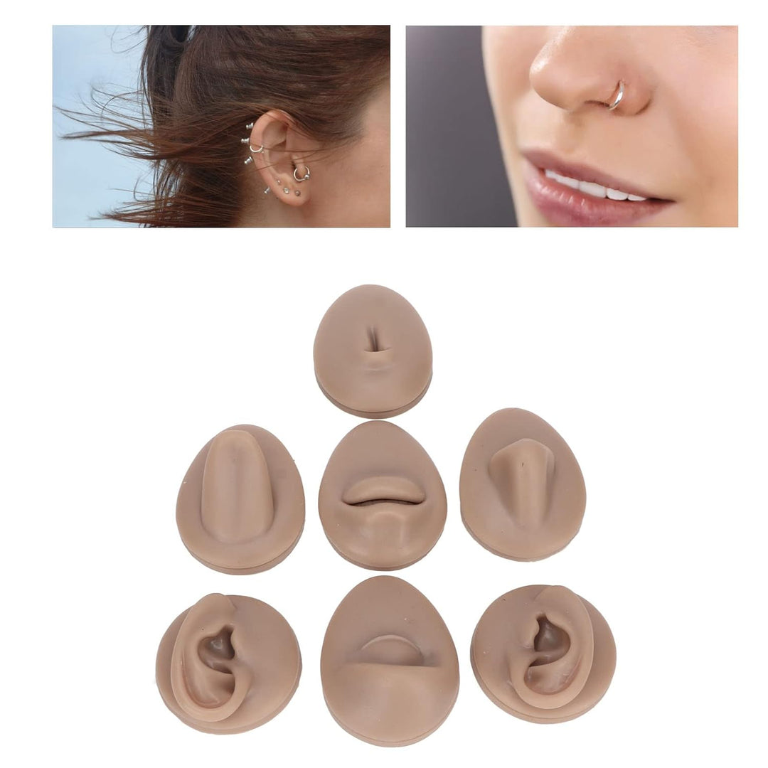 Weiches Silikon, Flexibles Modell, Körperteil-Display-Set, Body-Piercing-Übungsmodell, Simulation, O