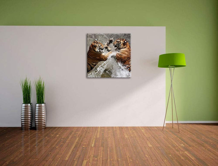Kämpfende Tiger im Wasser, Format: 70x70 auf Leinwand, XXL riesige Bilder fertig gerahmt mit Keilrah