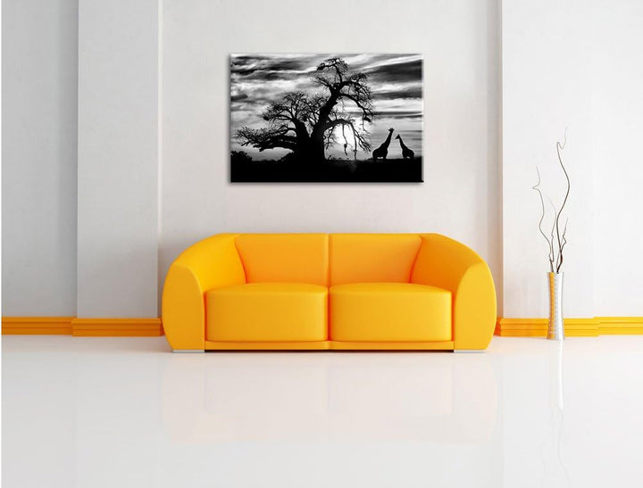 Pixxprint Monocrome, Zwei Giraffen in der Wüste, Format: 100x70 auf Leinwand, 100x70