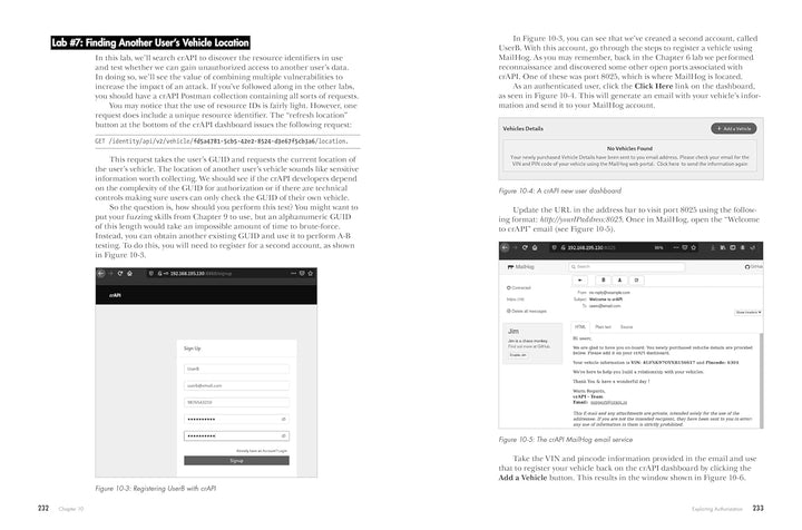 Hacking APIs: Breaking Web Application Programming Interfaces, Taschenbuch