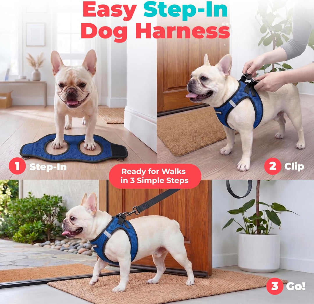 Best Pet Supplies Voyager Step-In Air Hundegeschirr – Allwetter-Netz-Weste für kleine und mittelgros