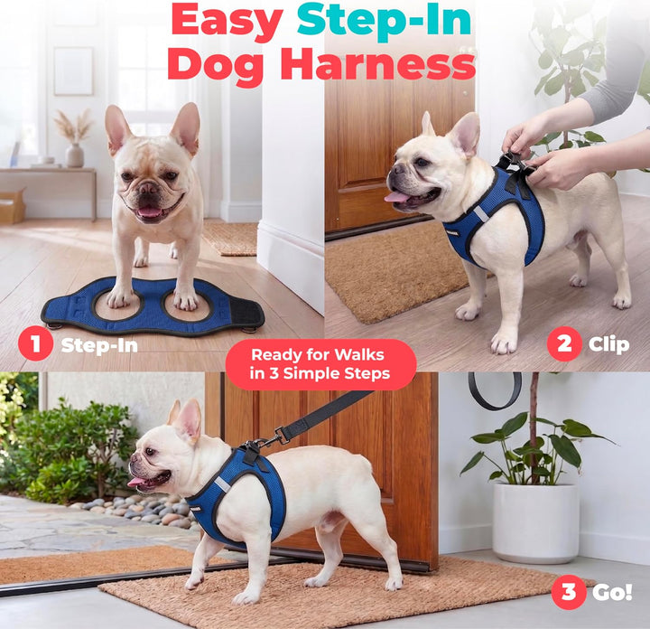 Best Pet Supplies Voyager Step-In Air Hundegeschirr – Allwetter-Netz-Weste für kleine und mittelgros