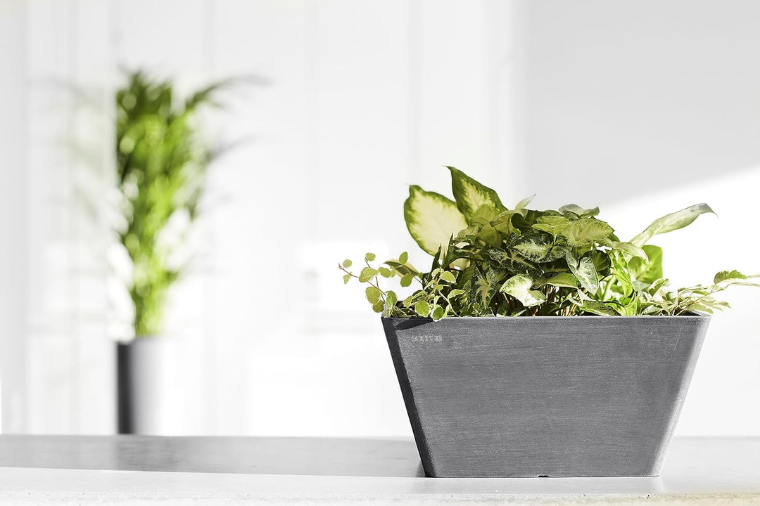 ECOPOTS Blumentopf Berlin Grau - 31 x 31 cm quadratisch - Pflanzentopf aus Recycling Kunststoff - Üb