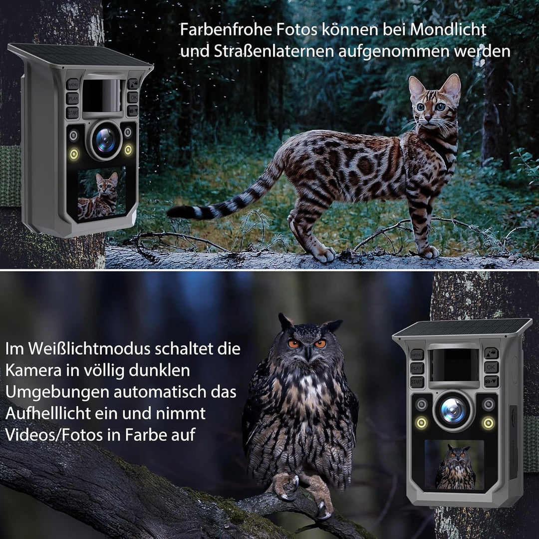 Wildkamera mit Handyübertragung APP, Solar WLAN 4K HD Video 64MP Eingebaute 7500mAh Wiederaufladbare