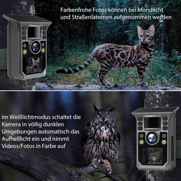 Wildkamera mit Handyübertragung APP, Solar WLAN 4K HD Video 64MP Eingebaute 7500mAh Wiederaufladbare