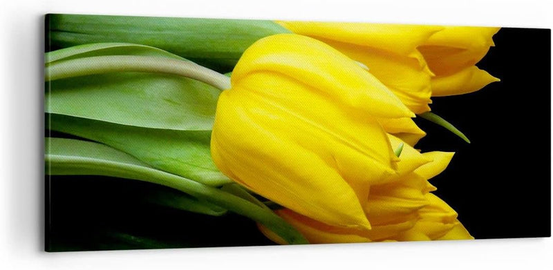 Wandbilder Dekoration Wohnzimmer Tulpen Strauss Spiegelreflexion grün Bilder auf Leinwand 120x50cm L