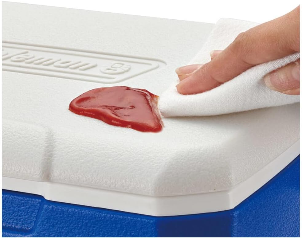 Coleman Performance 6 Personal Kühlbox, passive kleine Thermobox für Essen und Getränke, Eisbox mit