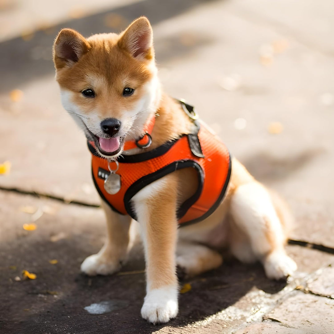 Puppia Soft Vest Harness B/ORANGE/3L Orange XXX-Large, Orange XXX-Large