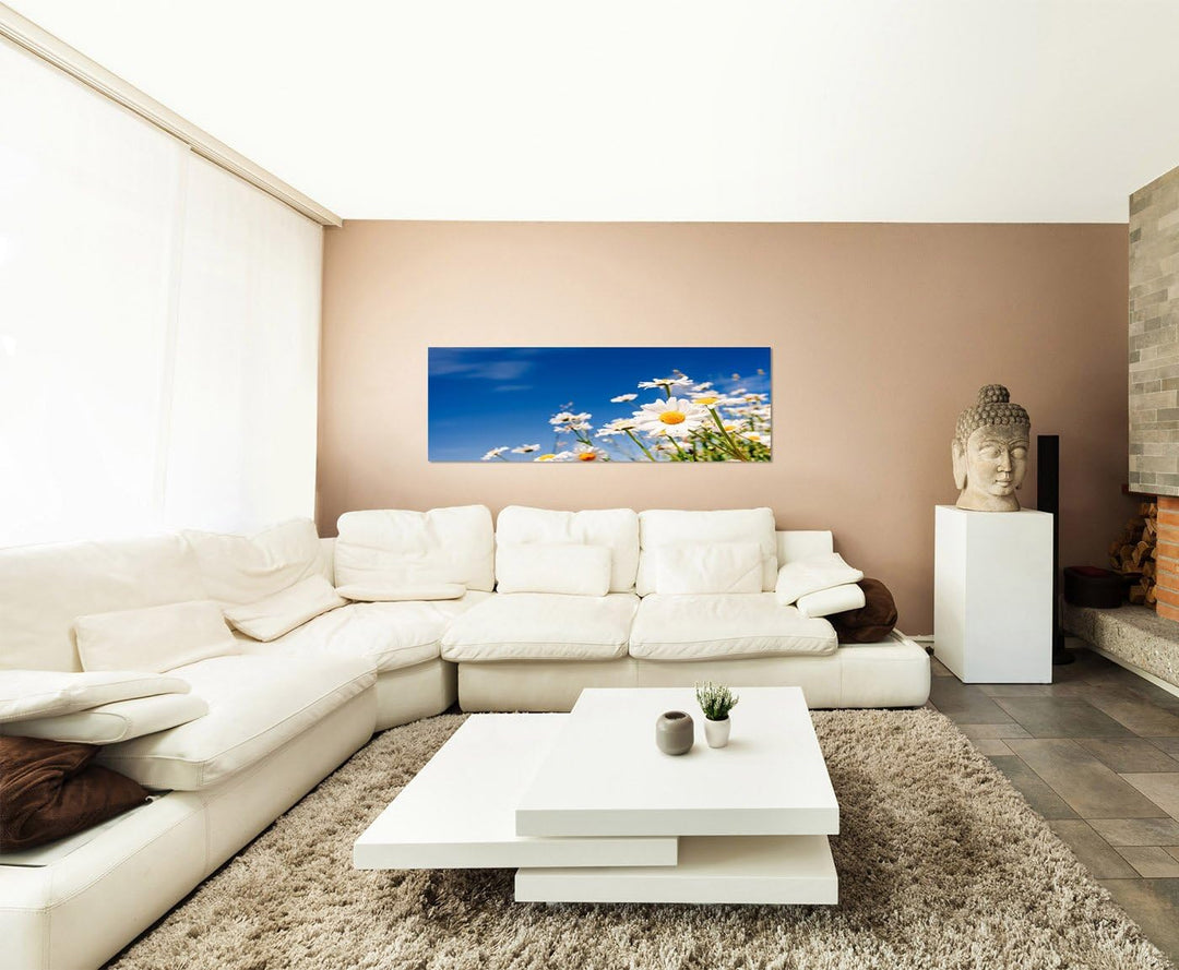 Paul Sinus Art Panoramabild auf Leinwand und Keilrahmen 150x50cm Gänseblümchen Wiese Sommer Himmel