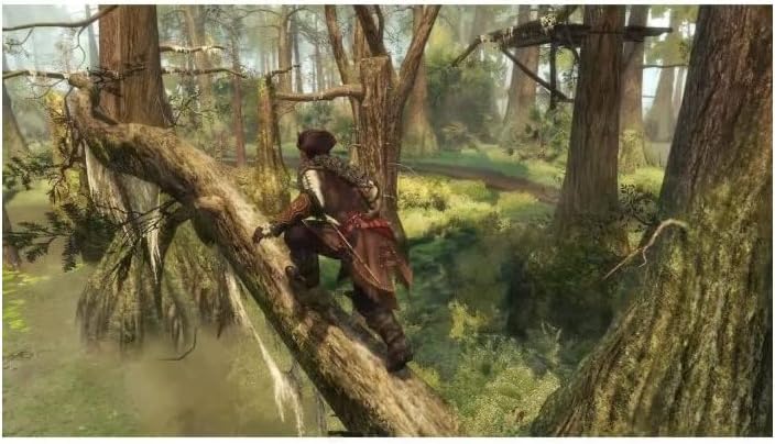 Assassin's Creed 3 + Assassin's Creed Liberation Remasted – Schalter