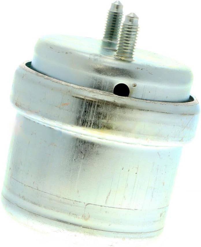 VAICO V10-8209 Lagerung, Motor