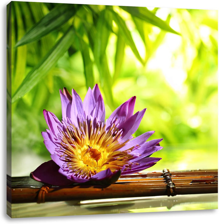 Pixxprint Seerose auf Bambus Wellness als Leinwandbild Quadratisch/Grösse: 70x70 / Wandbild/Kunstdru