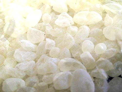 Chios Mastic Mastix erzeugt von Mastixerzeugern (20gr mittelgrosse Tränen)