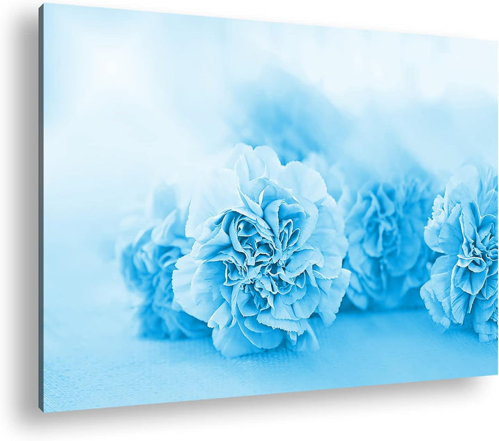 deyoli rosafarbene Nelken Format 80x60 Effekt: Monocrome Blau als Leinwandbild, Motiv fertig gerahmt