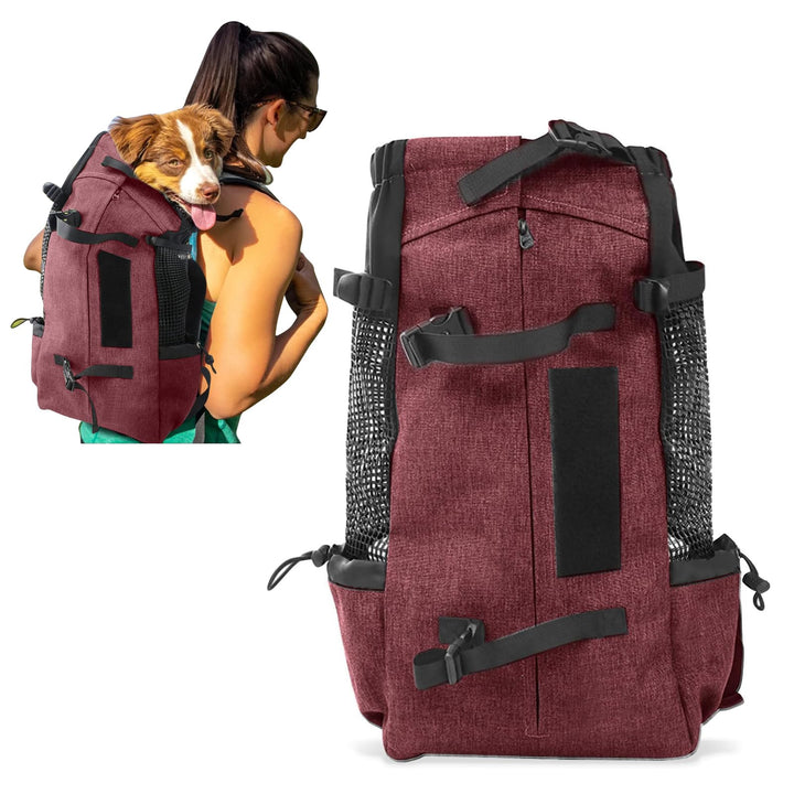 PETCUTE Hundetasche Hundetransporttasche Tragetasche für Hunde Katzen Wanderrucksack Seite Atmungsak