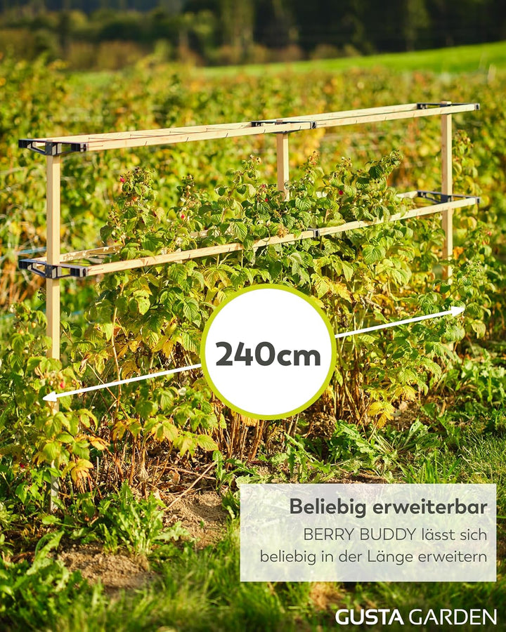 Gusta Garden Berry Buddy - Flexible Rankhilfe für Beeren: Himbeeren, Brombeeren & Heidelbeeren, erwe