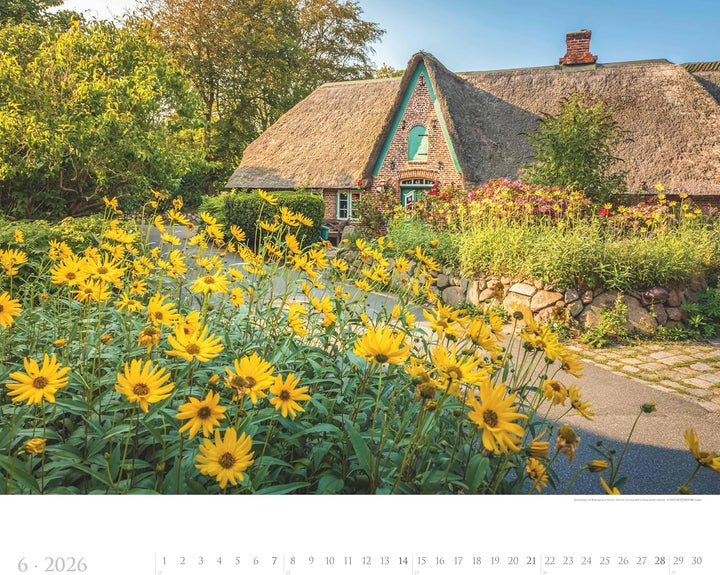 Alpha Edition - Sylt 2026 – XXL Bildkalender 60×50 cm, Panorama-Wandkalender im Querformat, Landscha