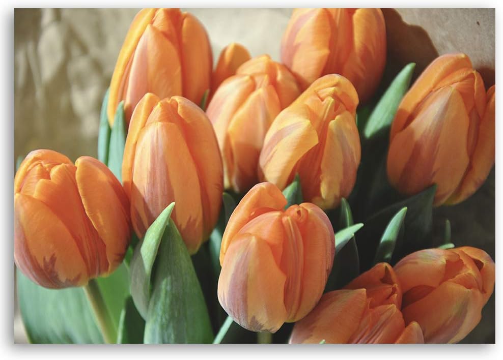 Feeby Leinwandbild Tulpen Bild Kunstdruck Pflanze Orange 70x50 cm Leinwandbild 70x50 cm Orange_B, Le