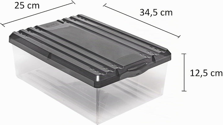 BranQ - Home essential Schuhbox Shoe Box mit Belüftungshaltelöcher und Deckel Kunststoff, 8l, Set vo
