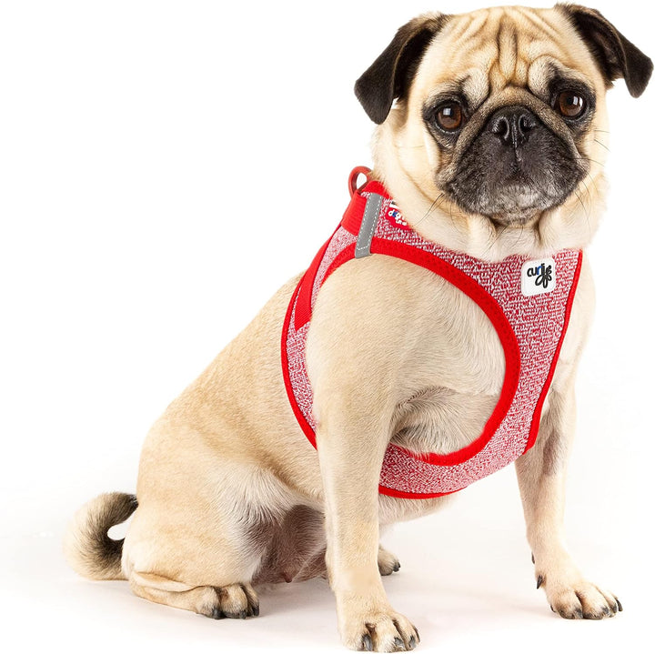 Vest Harness Merino curli Clasp Red 3XS 3XS Red, 3XS Red