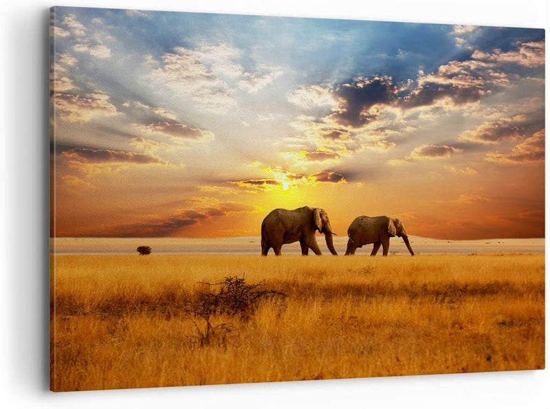 Bilder auf Leinwand 100x70cm Leinwandbild Elefanten Safari Dschungel Busch Gross Wanddeko Bild Schla