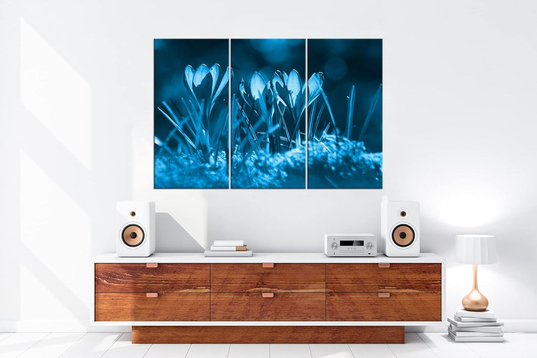beeindruckende Krokusse im Frühling Effekt: Zeichnung Format: 3-teilig 120x80, Motiv fertig gerahmt