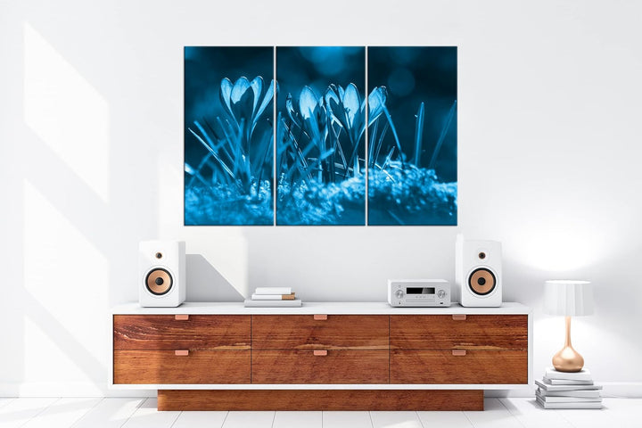beeindruckende Krokusse im Frühling Effekt: Zeichnung Format: 3-teilig 120x80, Motiv fertig gerahmt