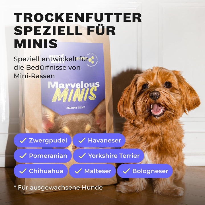 HEY HOLY – Marvelous Minis Trockenfutter für ausgewachsene Hunde mit 40% Forelle – 1er Pack (7kg) –