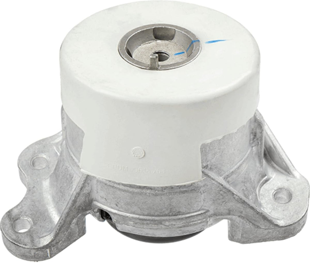 Lemförder 42527 01 - Lagerung, Motor