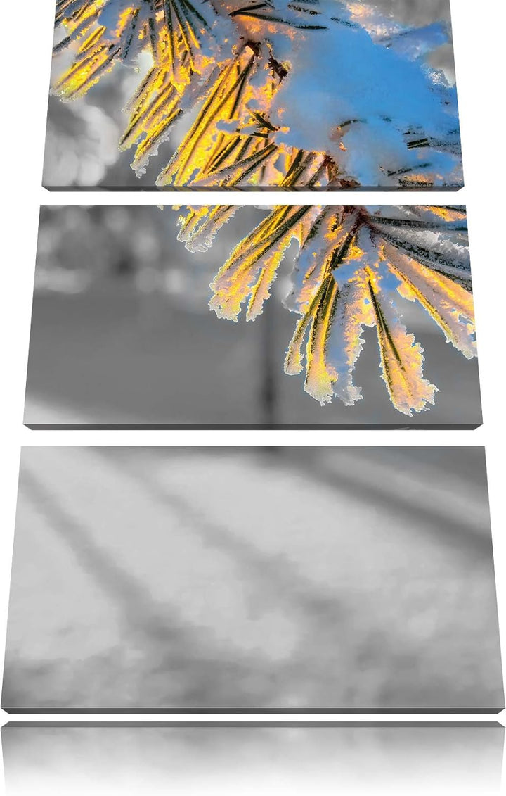 Pixxprint Tannenzweig im Winterwald schwarz/weiss 3-Teiler Leinwandbild 120x80 Bild auf Leinwand