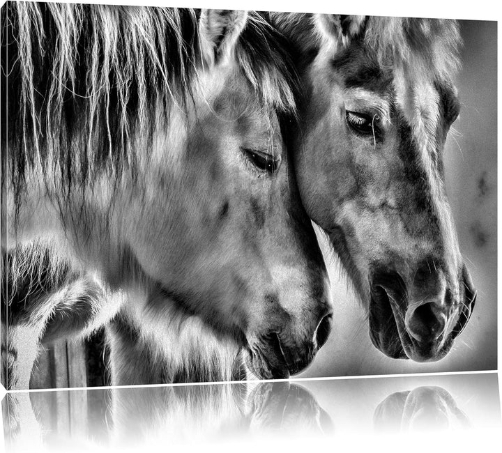 Pixxprint Monocrome, Zwei liebevolle Pferde, Format: 100x70 auf Leinwand, 100x70