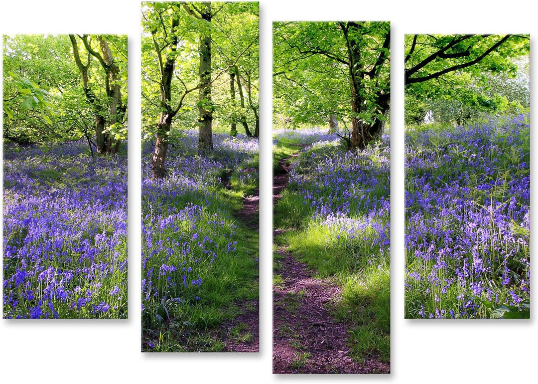 islandburner Bild auf Leinwand Blaue Glocken Blumenwiese In Schottland Bilder Wandbilder Poster Lein