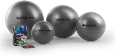 Pezzi ORIGINAL Gymnastik Ball Maxafe 65 cm grau *NEU*