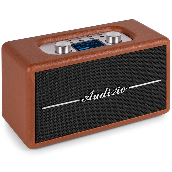 Audizio Tune60, DAB Radio mit Bluetooth Lautsprecher, Fernbedienung, FM, 40 Watt, Batterie- Netzbetr