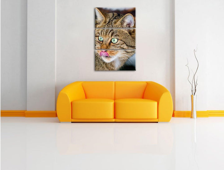 Pixxprint schöne Manul in Schneelandschaft als Leinwandbild/Grösse: 3 Teilig (120x80) cm/Wandbild/Ku